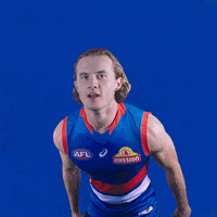 GIF by Western Bulldogs