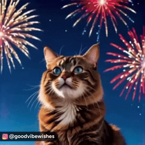 New Year Celebration Cute Cat GIF
