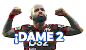 Idioma De Hincha Sticker by Copa América