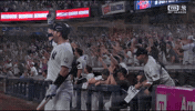 New York Yankees Sport GIF by MLB