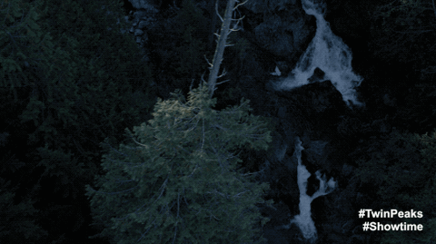 Twin Peaks River GIF by Twin Peaks on Showtime