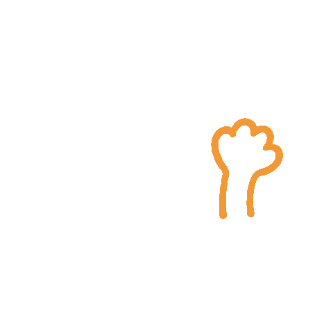 Cats Kittens Sticker by Mister Puss