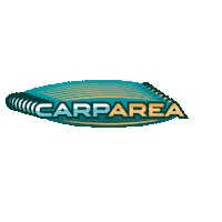 Fish Carp Sticker by Spadafishing