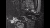 World War Ii Vintage GIF by US National Archives