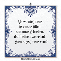 Humor Nl GIF by Tegelspreuken.nl