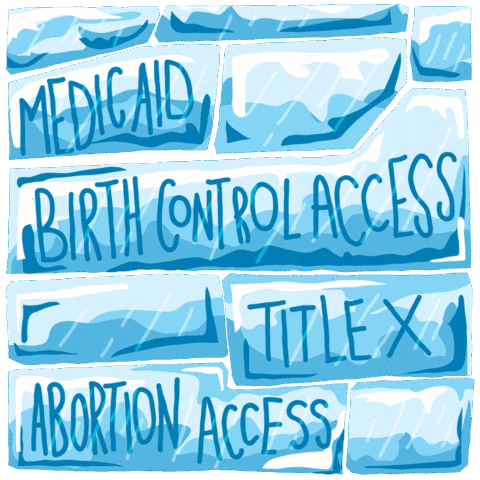 Reproductive Rights Healthcare GIF by INTO ACTION