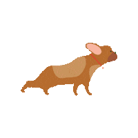 Dog Food Dogs Sticker by Nature's Select Pet Food