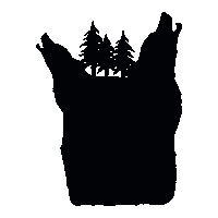 Live Wild Sticker by Soliści #dreamsintomemories