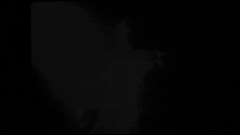 Eg GIF by Evil Geniuses