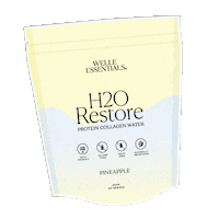 WelleEssentials keto WELLE welle nz welle keto Sticker