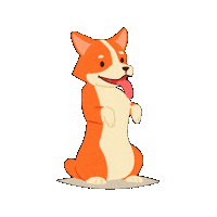 Cat Dog Sticker by Affinity