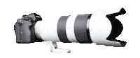 Video Photo Sticker by Guillaume Ruchon