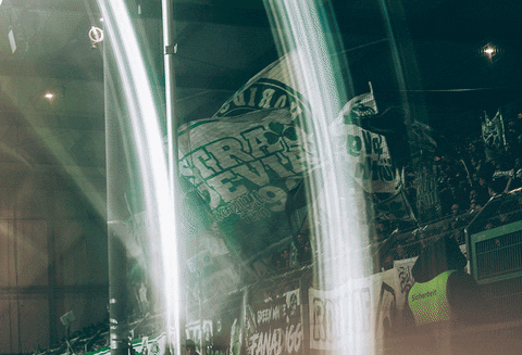 SpVggFuerth giphyupload fürth kleeblatt spvgg GIF