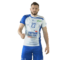 vervawarszawa win volleyball victory volley Sticker