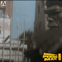 Martial Arts Reaction GIF by Arrow Video