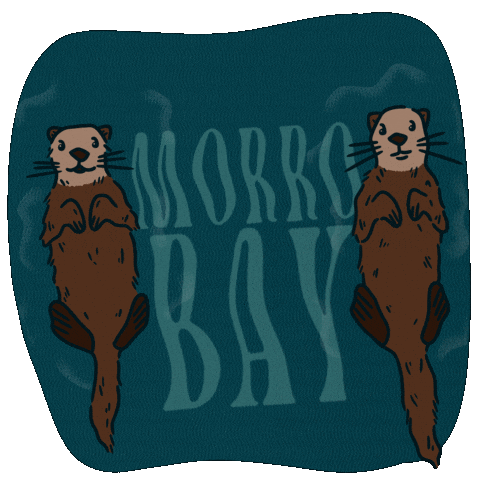 VisitMorroBayCA giphyupload otters sea otters morro bay GIF