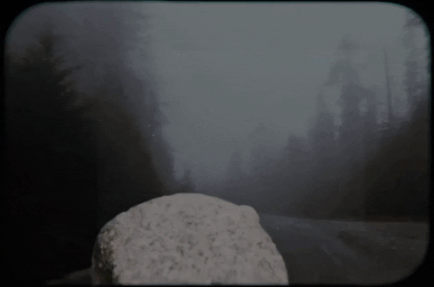 Music Video Acid GIF by Refresh Records