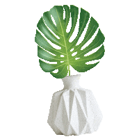 Teacher Plant Mom Sticker by Schoolgirl Style