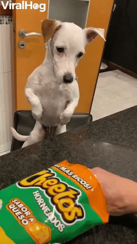 When You Don't Want to Go on a Diet