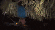 Music Video Love GIF by boygenius