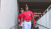 Sport Baseball GIF by Fayetteville Woodpeckers