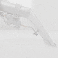 GIF by Mr. Steam