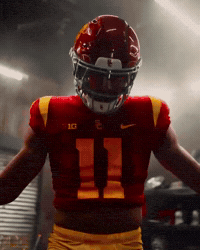 Fight On GIF