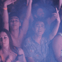 GIF by Big Beat Records