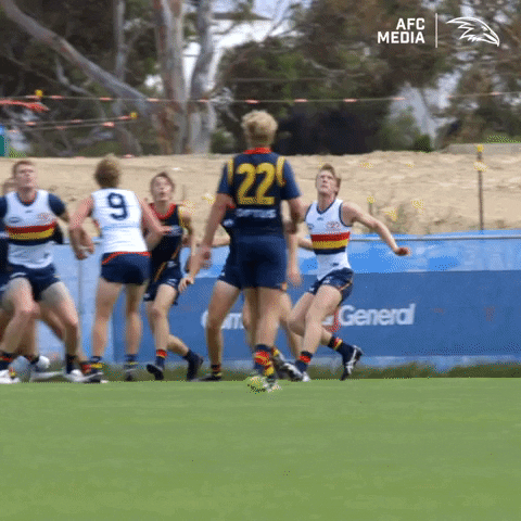 Mark Afl GIF by Adelaide Crows