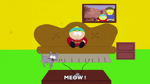 eric cartman cat GIF by South Park 