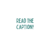 Mahalo Read Caption Sticker by mahalo eco blinds