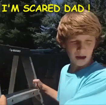 trust GIF