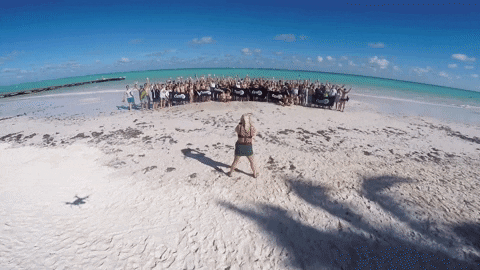 Partypokerlive giphyupload poker paradise cpp GIF