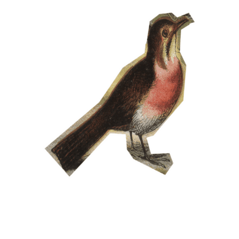 We_Encourage giphyupload Sticker