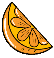 Orange Fruit Sticker by Natalie Michelle Watson