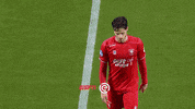 GIF by FOX Sports