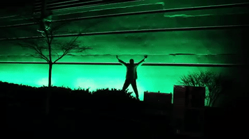 sub pop records GIF by So Pitted