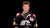 Hockey Del2 GIF by Krefeld Pinguine