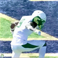 Usf Football GIF by SoFloBulls