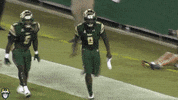Quinton Flowers Usf GIF by SoFloBulls