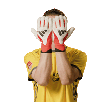 Wessel Speel Sticker by AlmereCityFC