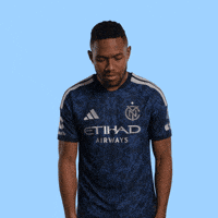 Mls Vamos GIF by New York City FC
