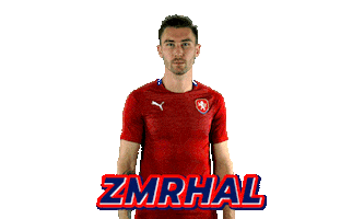 Czech Republic Ceskarepre Sticker by 2score
