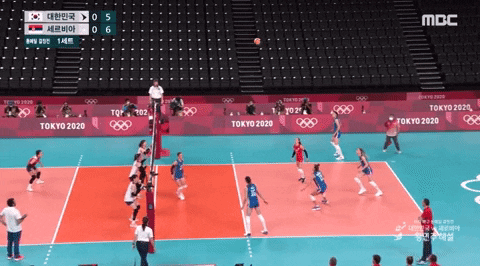 qwerpoiu22ppop giphyupload GIF