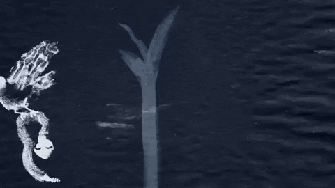 Dance Animation GIF by Anna B Savage