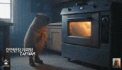 Kitchen Cooking GIF