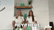 Cleaning Spray GIF by TalkShopLive
