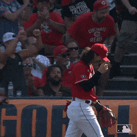 Baseball Mlb GIF by Cincinnati Reds