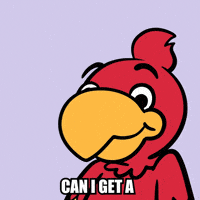 VeeFriends veefriends parrot vfs2 vee friends GIF