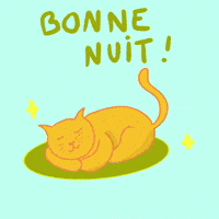 Good Night Cat GIF by cynomys
